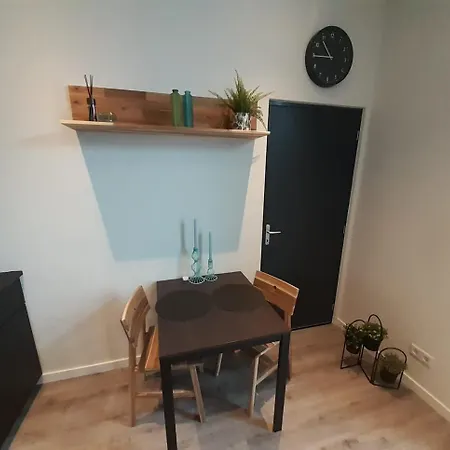 Deluxe Apartment *