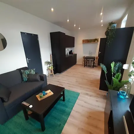 Deluxe Apartment *
